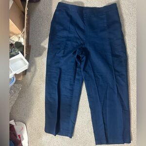 J. Jill Deep Blue pants